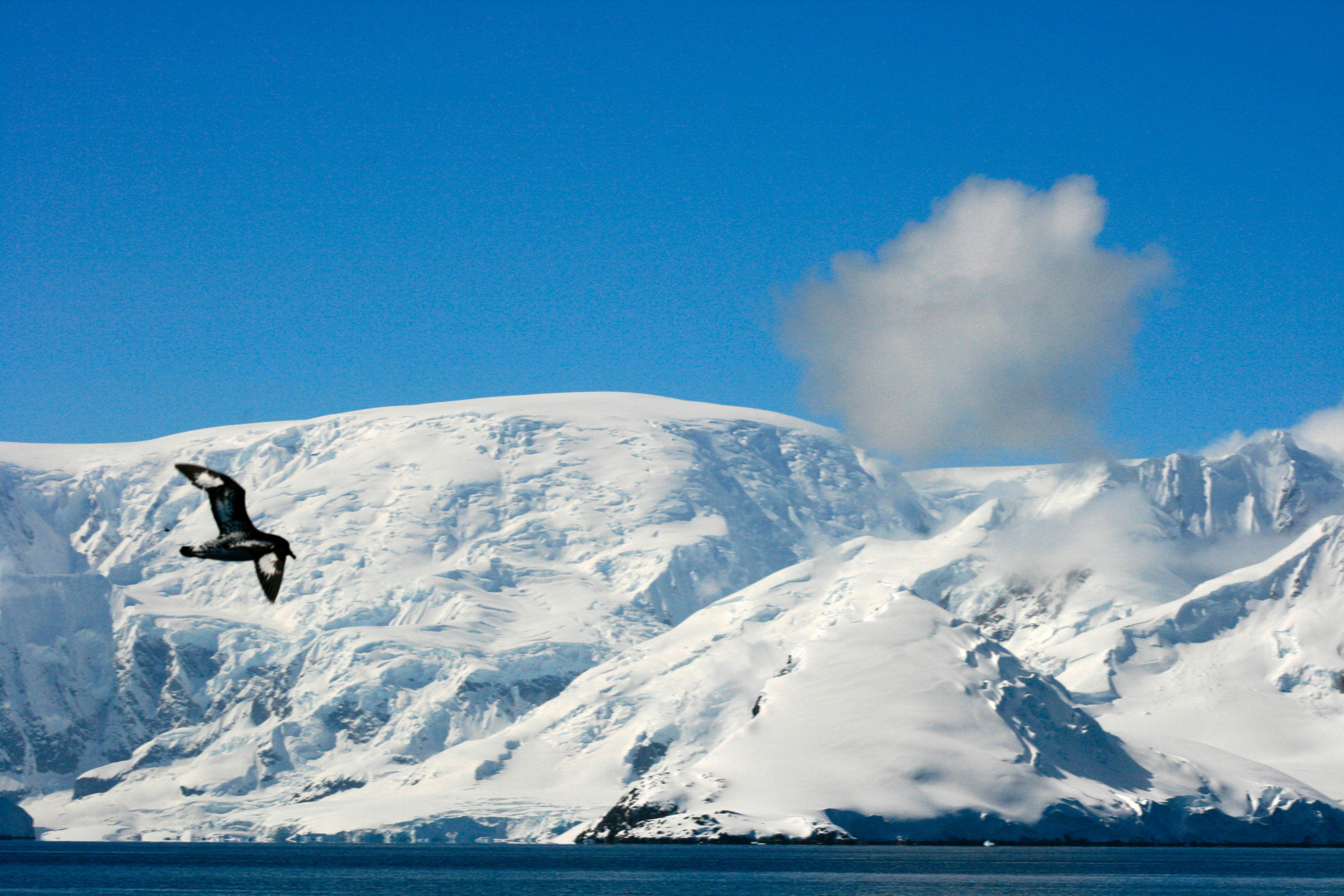 Antarktis © Greg & Kate Bourne / WWF Australien